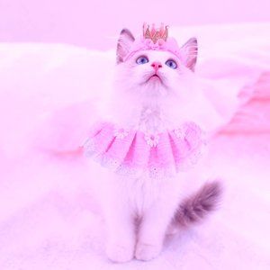 Cat Costumes for Cats, Cute Lace Dog Bandanas